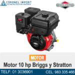 Motor 10 hp Briggs y Stratton