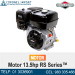 Motor 13.5hp RS Series™