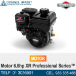 Motor 6.5hp XR Professional Series™
