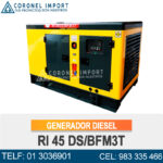GENERADOR DE CORRIENTE DIESEL RI45DS CATTINI