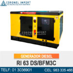 GENERADOR DE CORRIENTE DIESEL RI63DS CATTINI