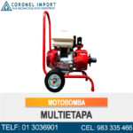 MOTOBOMBA MULTIETAPA CI390-2AP2