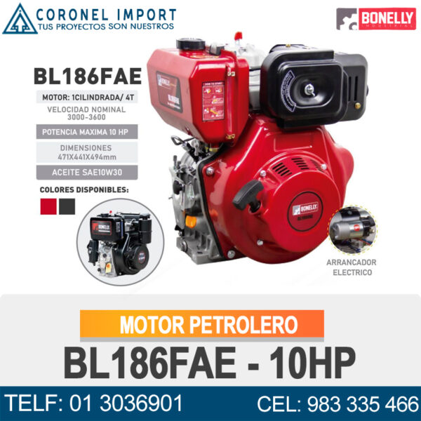 MOTOR PETROLERO BL186FAE - 10HP