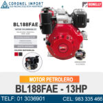 MOTOR PETROLERO BL188FAE - 13HP