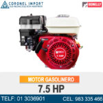 MOTOR GASOLINERO 7.5 HP