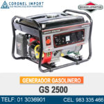 GENERADOR DE CORRIENTE Briggs & Stratton Elite Series™ GS2500