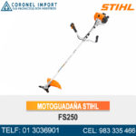 MOTOGUADAÑA STIHL FS250