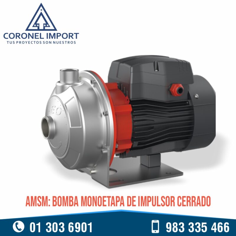 AMSm: BOMBA MONOETAPA DE IMPULSOR CERRADO