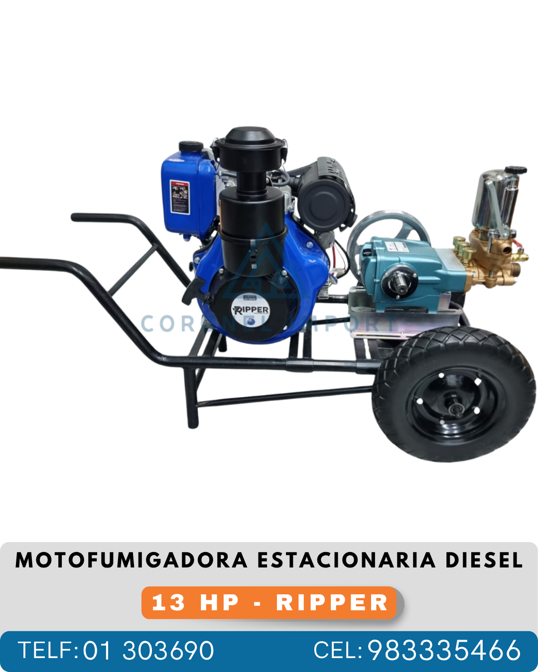 10 MOTOFUMIGADORA ESTACIONARIA DIESEL DE 13HP RIPPER - Imagen 1