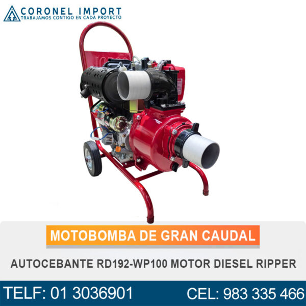 MOTOBOMBA DE GRAN CAUDAL AUTOCEBANTE RD192-WP100 MOTOR DIESEL RIPPER